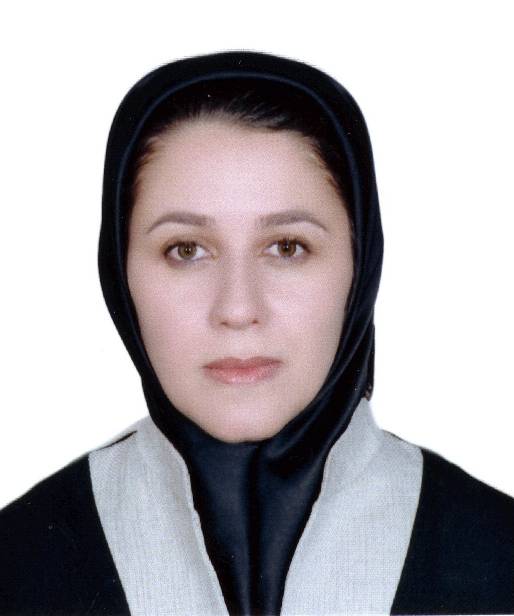 Dr. Somayeh Mohammadi Dr. Somayeh Mohammadi