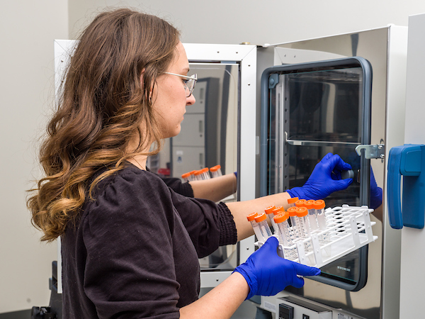 TROY professor working in the CMMS lab