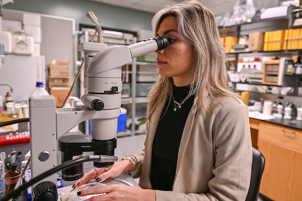 TROY student looking into a microscope