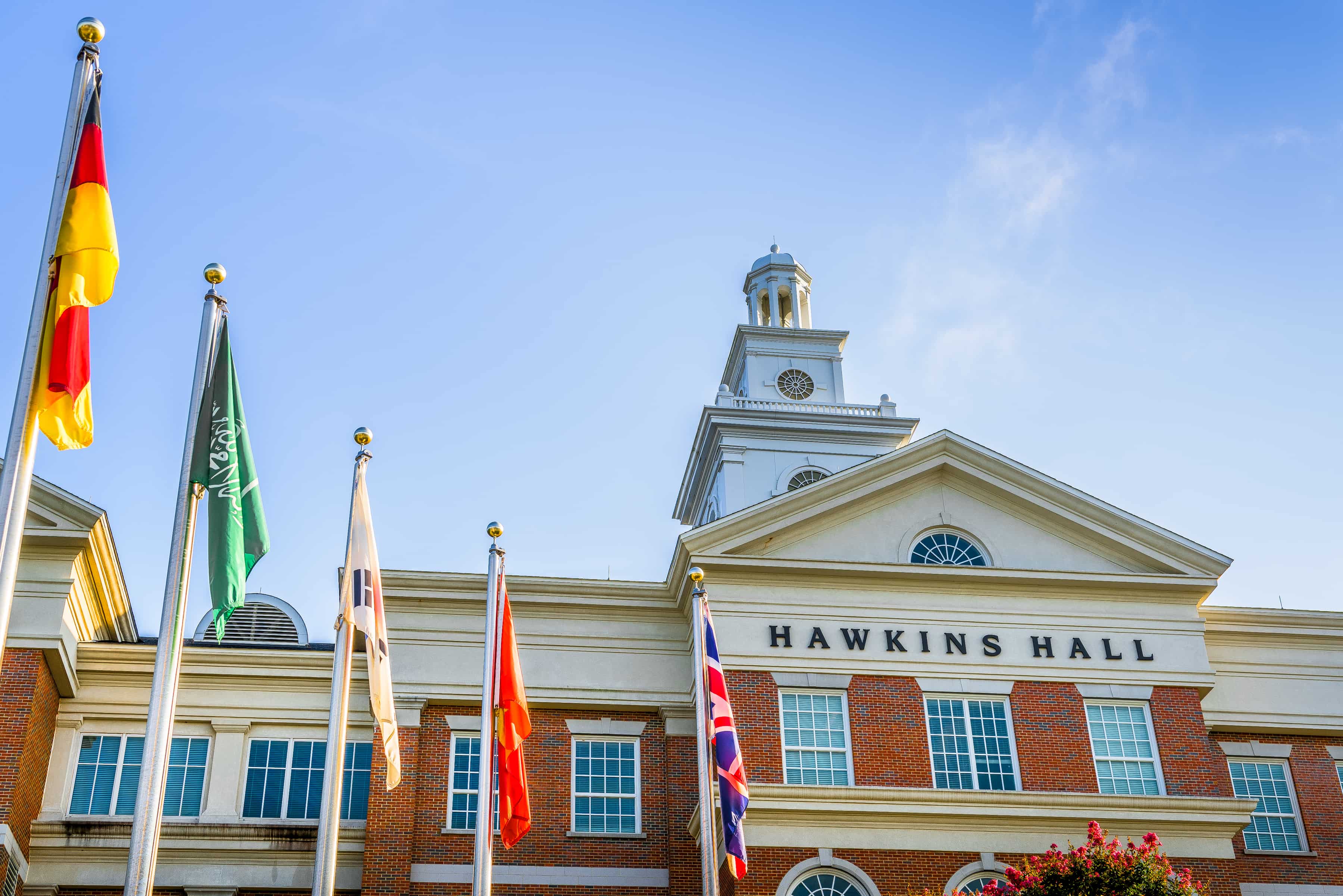 Hawkins flags