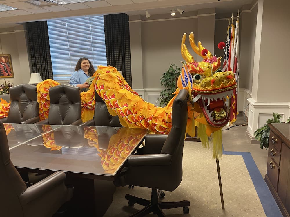 Dragon Costume 