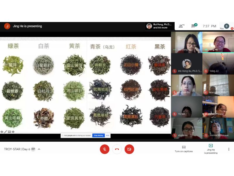 Ms. He Jing shares an image of the different colors of teas with the participants. 