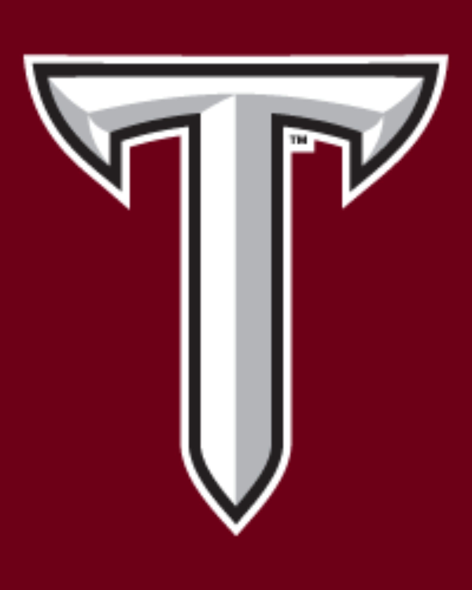 Troy Logo Filler