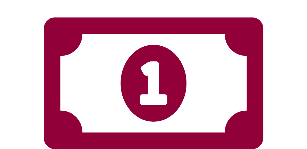 budgeting icon