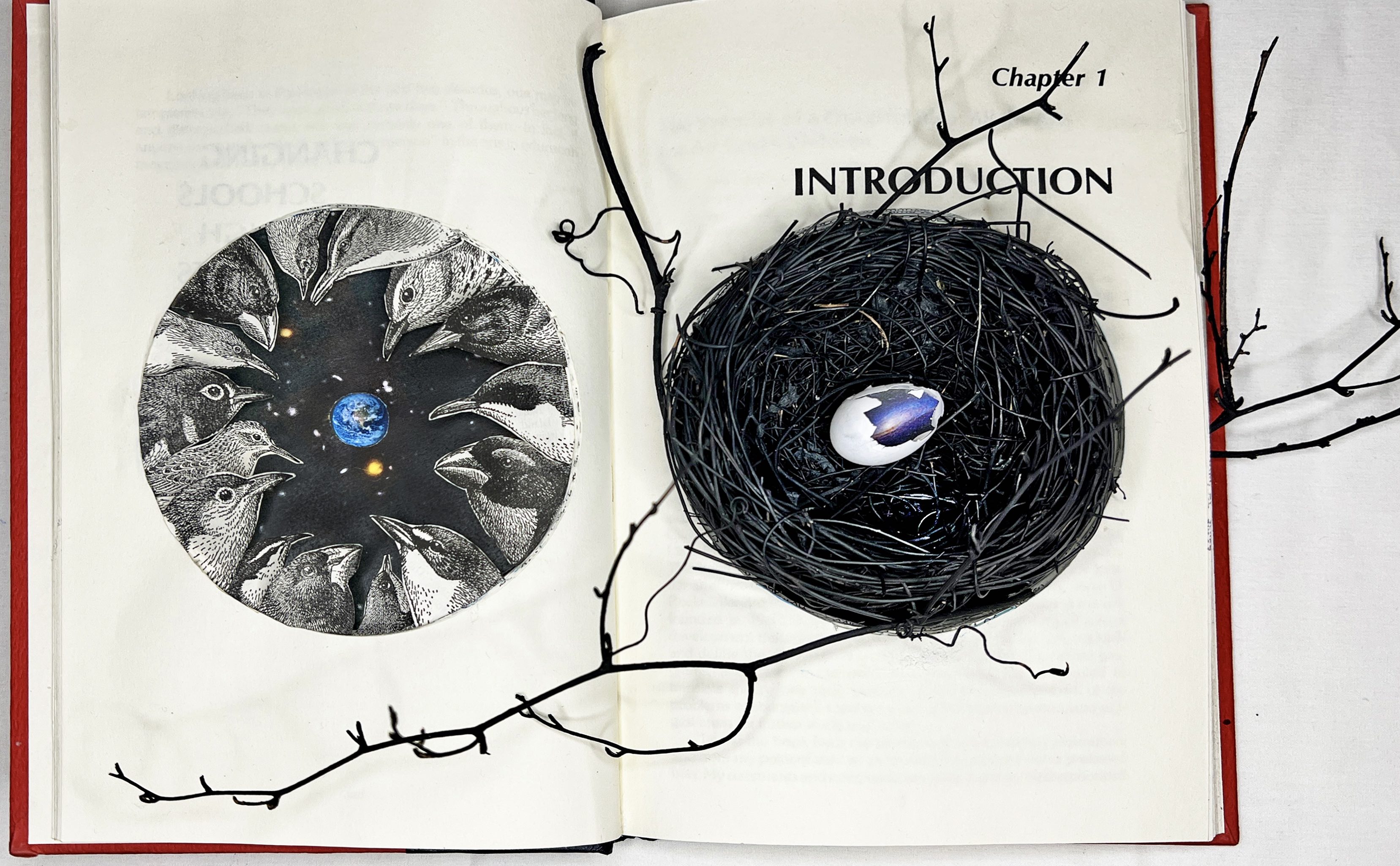 Collage using a book that shows large birds viewing Earth from outer space (left of spine) and a nest with a hatching egg containing the Milky Way Galaxy (right of spine).