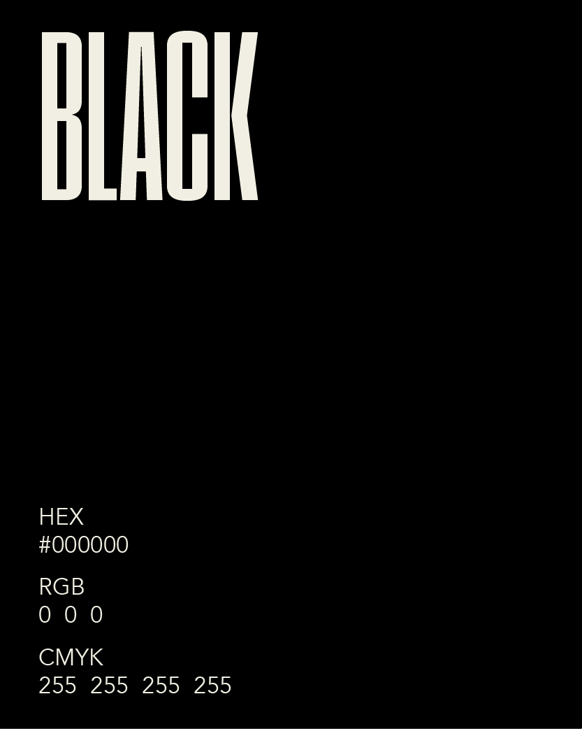 TROY's color pallet - black with hex codes