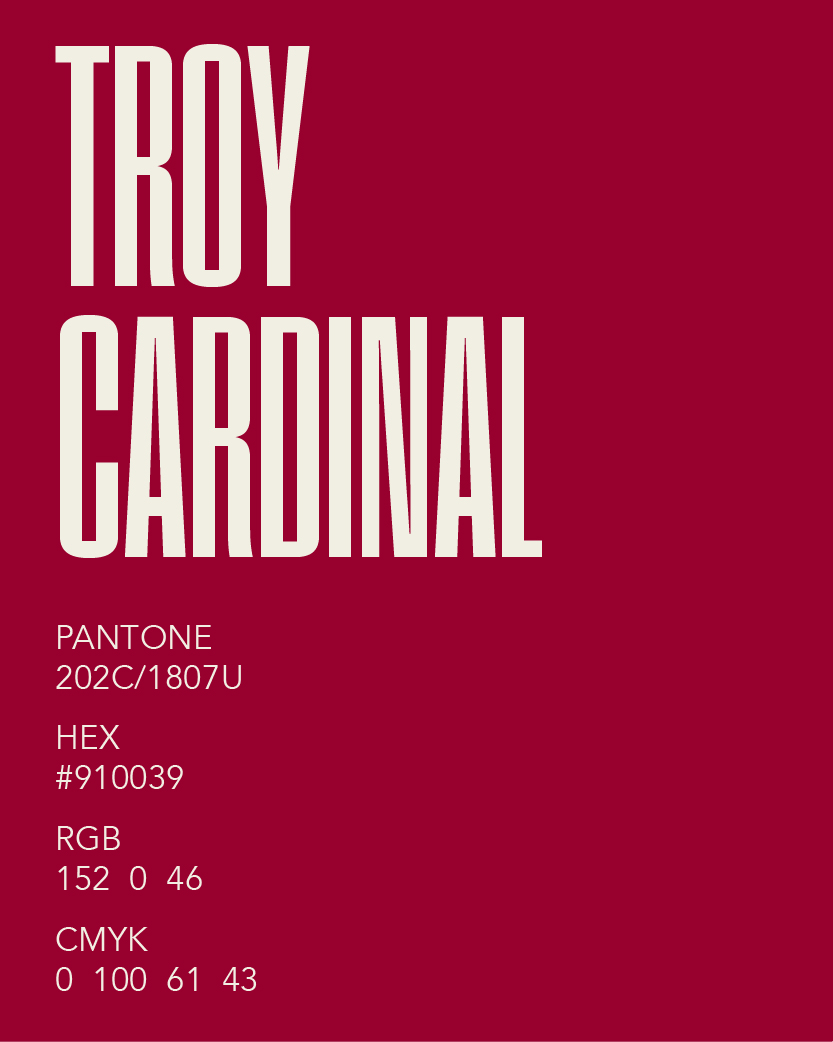 TROY's color pallet - TROY cardinal with hex codes