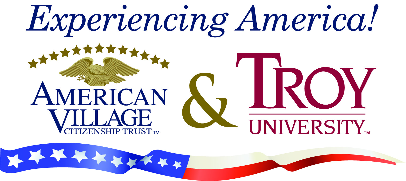 TPA logo